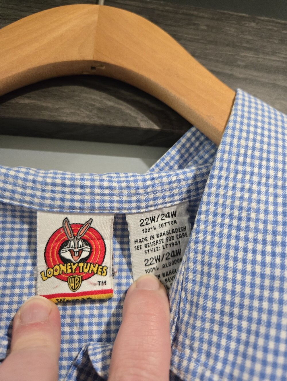 LOONEY TUNES Vintage Women's Blue Checkered Tweety Bird Embroidered Shirt 22/24W - Picture 4 of 4